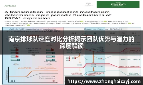 南京排球队速度对比分析揭示团队优势与潜力的深度解读